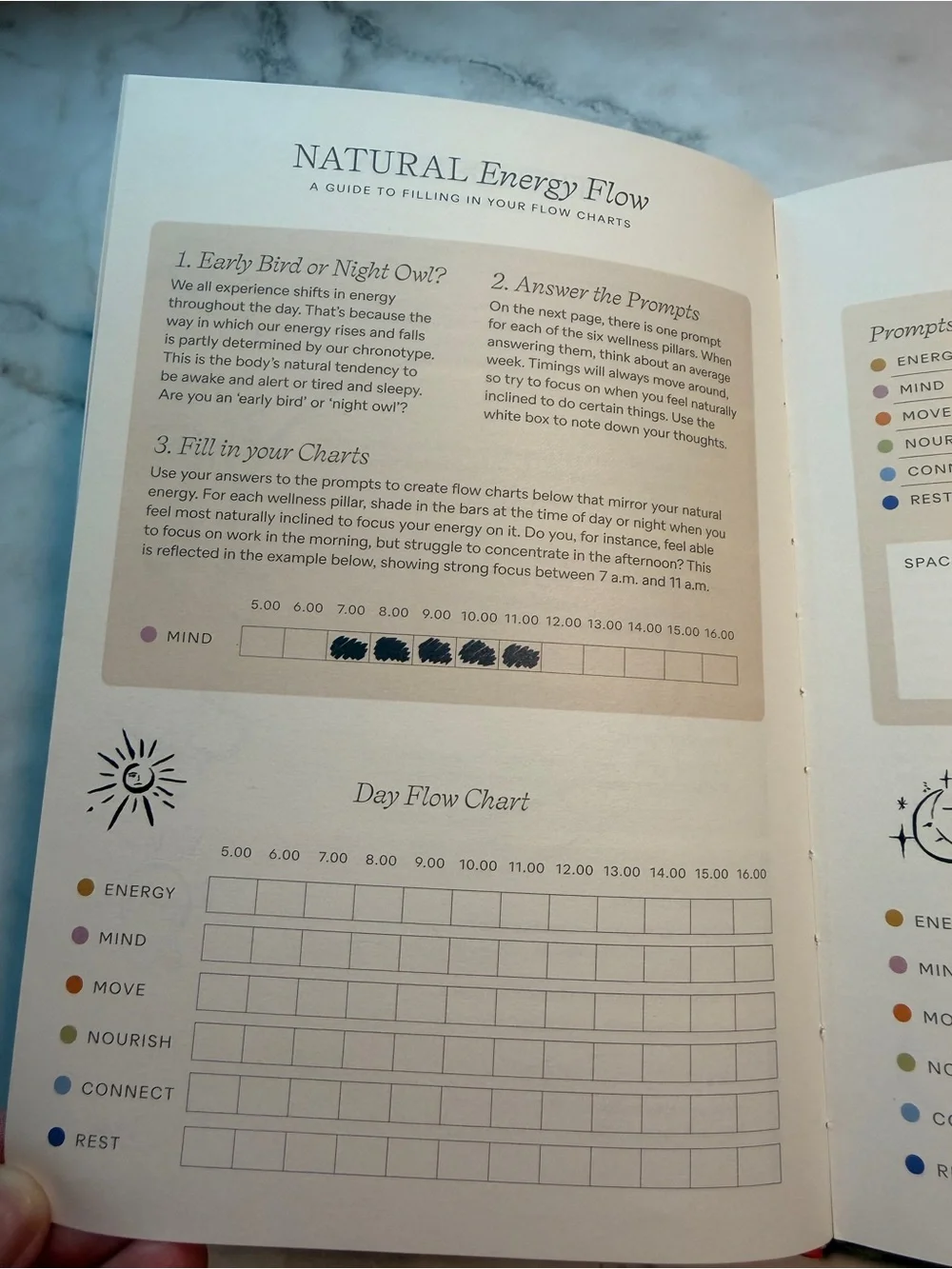 Anthropologie Papier Pause Wellness Journal - Hardcover Bows